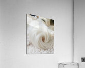 PuppyTail Acrylic Print