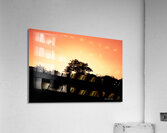 Golden Tree Acrylic Print