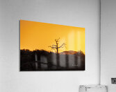 Sunray on the Mountain Acrylic Print