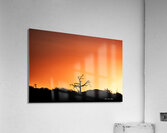 Orange Sunrise Acrylic Print