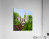 Harmony Acrylic Print