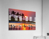 IMG 8396 Acrylic Print