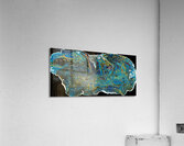 Hidden in the Brief Acrylic Print