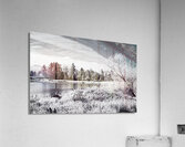 Dyke Road Park In Infrared 1 Acrylic Print