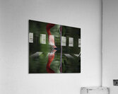 Nose to Nose Acrylic Print