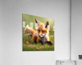 Cute little Fox Kit Acrylic Print