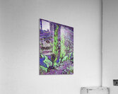 van gogh dig polyart Acrylic Print