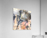  SH 3 In Autumn Acrylic Print