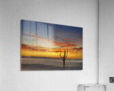 Sunrise on Botany Beach Acrylic Print
