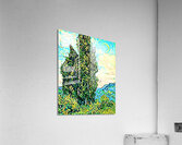 van gogh cypresses 1 Acrylic Print