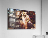 Vintage 60s Penn State Nittany Lion Shrine Art Acrylic Print
