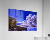 LaFarge Park Acrylic Print