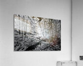 Brooklyn Creek  Acrylic Print