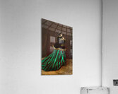 Claude Monet Camille Acrylic Print