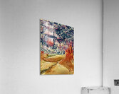 Monet Oil Painting Weeping Willow dig pastel  Acrylic Print