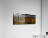 Smoky Mountain Overlook in Autumn Acrylic Print
