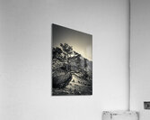 16x24 20170826 KW LN Find a Way Acrylic Print