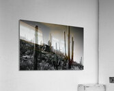 24x16 20220409KW Sabino Canyon BW proofed Acrylic Print