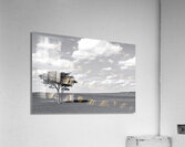 Erg Chebbi Argan BW Acrylic Print