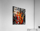 Glass Sculpture  Acrylic Print