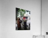 Queens Rain Acrylic Print