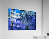 A Peek Through The Forest Acrylic Print