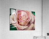 Be My Valentine Acrylic Print