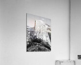 Half Dome  Acrylic Print