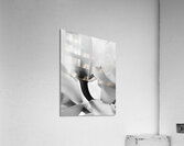 Ethereal Flower  Acrylic Print