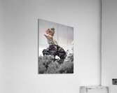Tufa Column  Acrylic Print