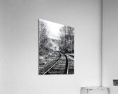 Railroad  Acrylic Print