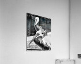 Stork Trio  Acrylic Print