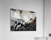 Solomon Seal  Acrylic Print