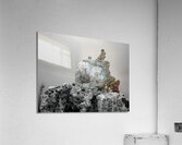 Tufa 3  Acrylic Print