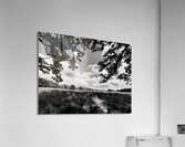 Meadow  Acrylic Print
