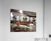 Brook Trout Acrylic Print