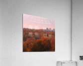 Colourful trees Acrylic Print