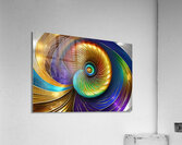 IMG 9453 Acrylic Print