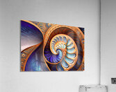 IMG 9459 Acrylic Print