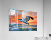 IMG 9351 Acrylic Print