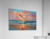 IMG 9352 Acrylic Print