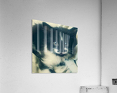 Black Main Coon Kitten Acrylic Print