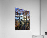 Winslow Park Golden Hour - Freeport Maine Wall Art Acrylic Print