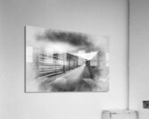 sd77s4354899 Acrylic Print