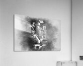 asa344434755 Acrylic Print