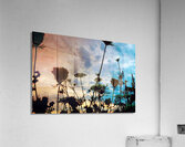 Cotton Candy Sky Acrylic Print