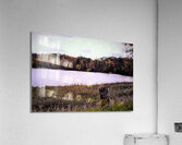 Windy Lake Acrylic Print