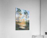 Palm Trees in the Florida Everglades  Acrylic Print