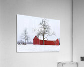 13 Tree in Winter Solitude Acrylic Print