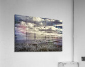 What A View Acrylic Print